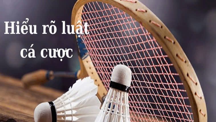 Cách Chơi Cá Cược Cầu Lông Tại ONBET Chuẩn Nhất 2025 2 Cách Chơi Cá Cược Cầu Lông Tại ONBET Chuẩn Nhất 2025